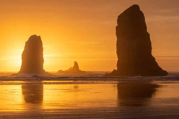 Nutrition et beauté : les aliments à privilégier pour une peau éclatante