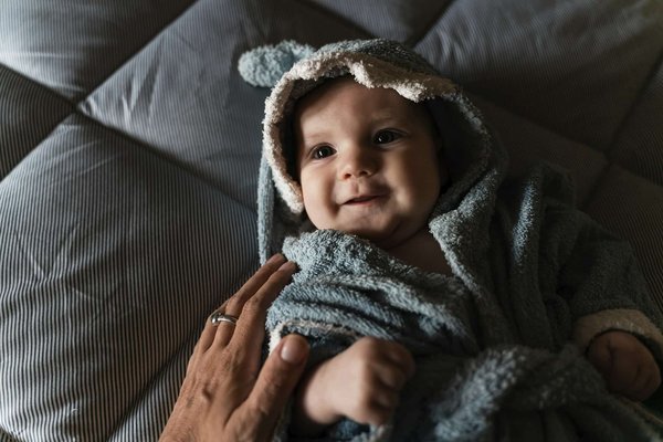 Boutique d'accessoire requin : quels sont les produits disponibles ?